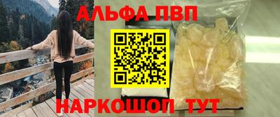 СК Кингисепп