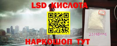 СК Кингисепп