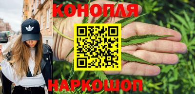СК Кингисепп