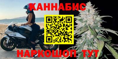 СК Кингисепп