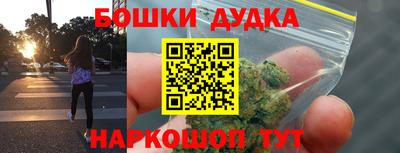 СК Кингисепп