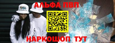 СК Кингисепп