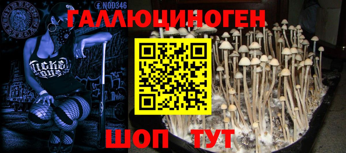 Псилоцибиновые грибы мицелий Котовск