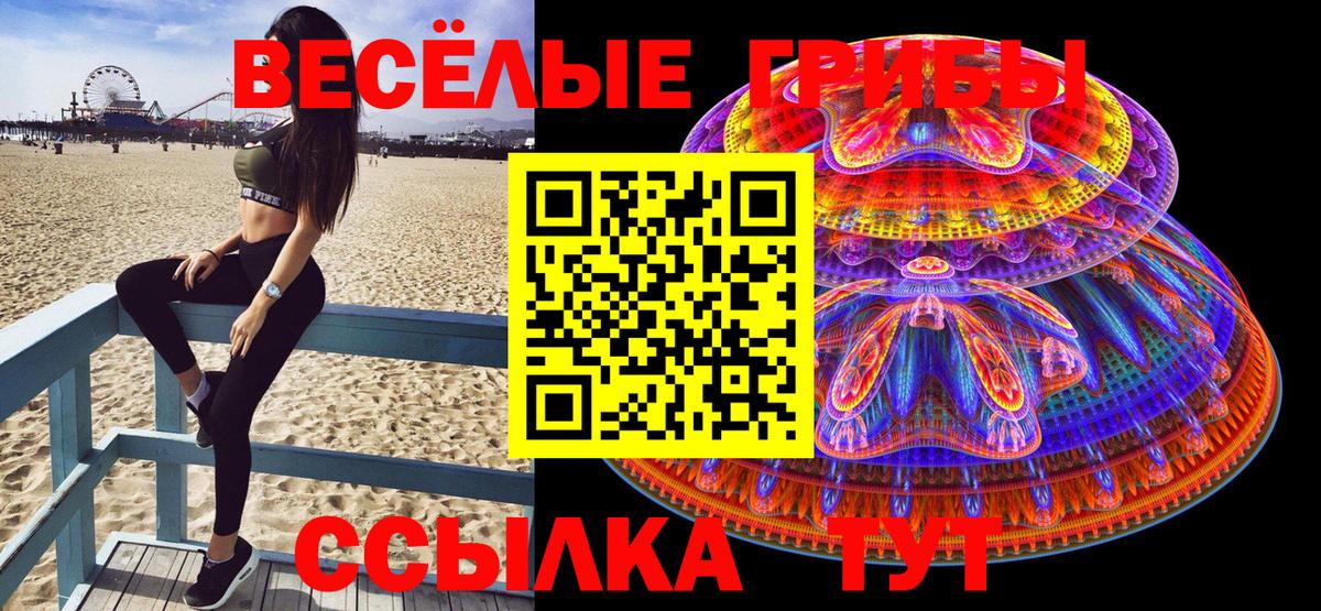 купить   Псилоцибиновые грибы мицелий  Вход с VPN  Галлюциногенные грибы Magic Shrooms  Котовск 